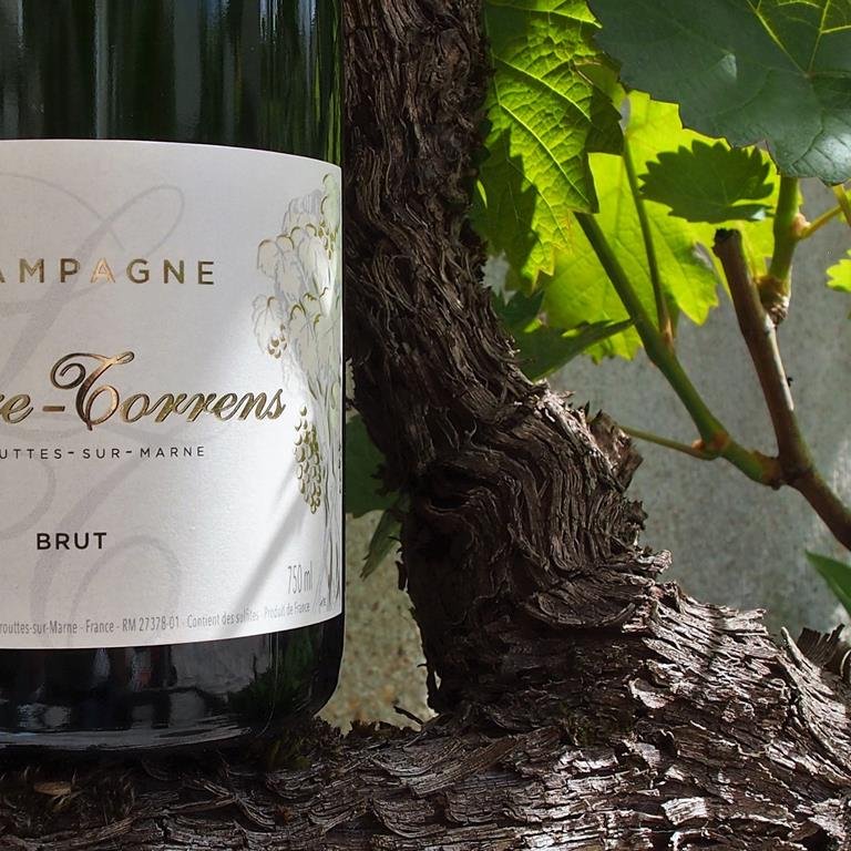 Champagne Leclere Torrens - Crouttes sur Marne Champagne Leclere Torrens - Crouttes sur Marne