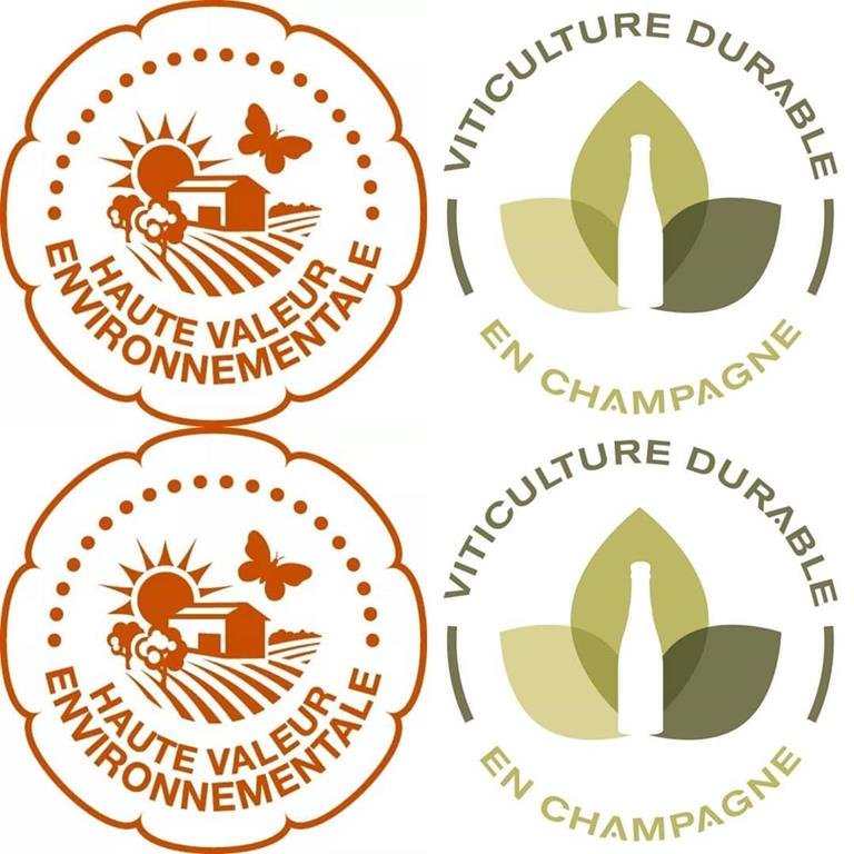 LEGUILLETTE ROMELOT Champagne-Oenotourisme - CHARLY SUR MARNE LEGUILLETTE ROMELOT Champagne-Oenotourisme - CHARLY SUR MARNE