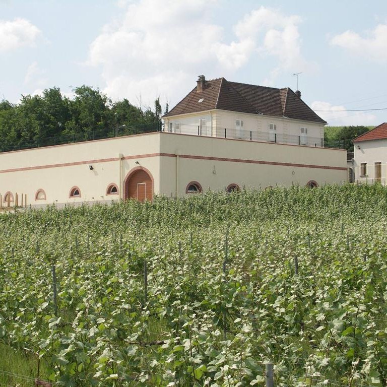 LEGUILLETTE ROMELOT Champagne-Oenotourisme - CHARLY SUR MARNE LEGUILLETTE ROMELOT Champagne-Oenotourisme - CHARLY SUR MARNE