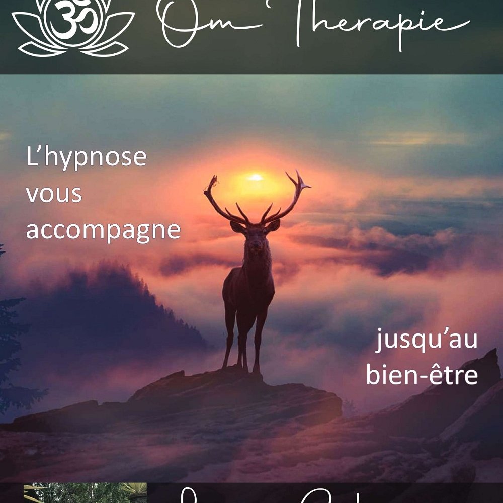 OM THERAPIE - VILLIERS SAINT DENIS OM THERAPIE - VILLIERS SAINT DENIS