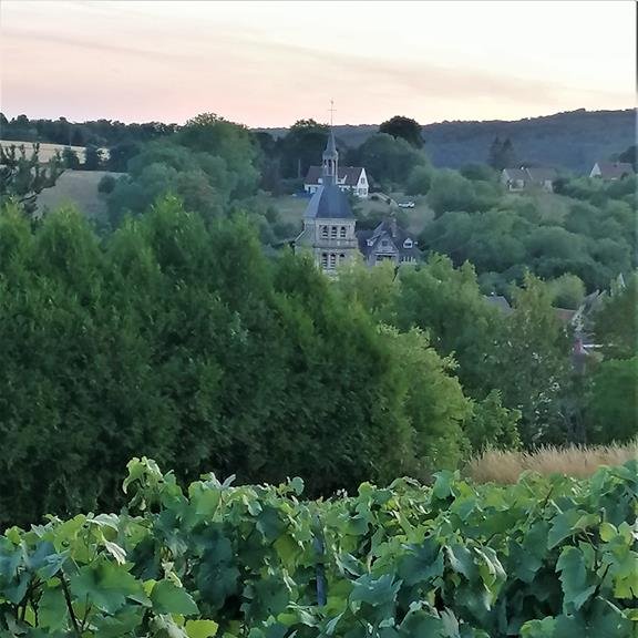 Champagne Bruno Berjot - Chézy sur Marne Champagne Bruno Berjot - Chézy sur Marne