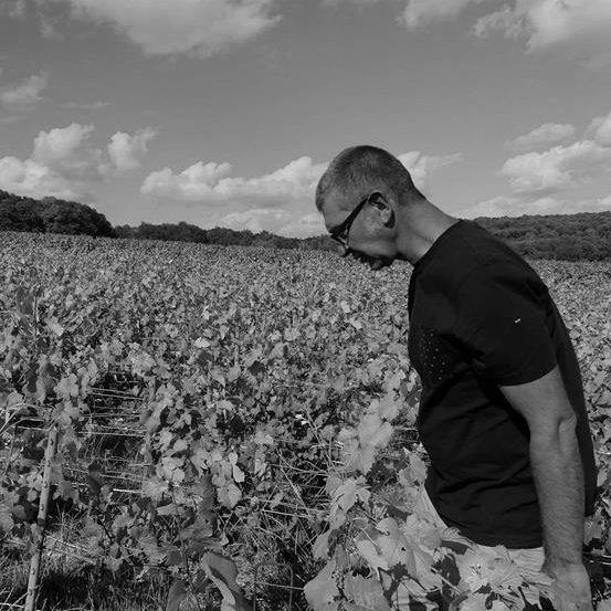 Champagne Bruno Berjot - Chézy sur Marne Champagne Bruno Berjot - Chézy sur Marne